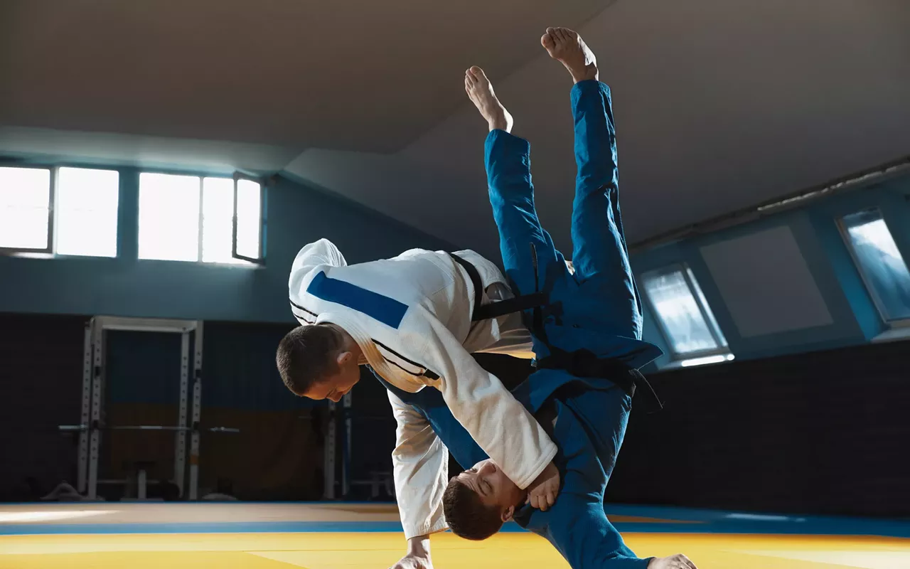 Image: Critical thinking jiujitsu