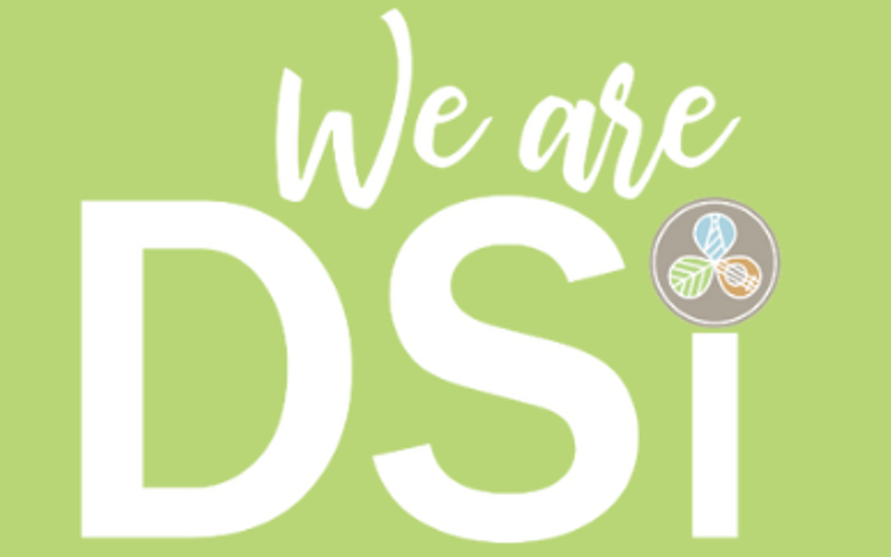 Image: DSI Volunteer Orientation
