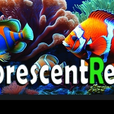 Fluorescent Reefs opens on West Jefferson