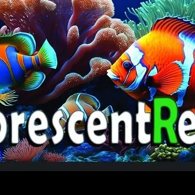 Image: Fluorescent Reefs opens on West Jefferson