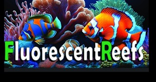 Fluorescent Reefs opens on West Jefferson