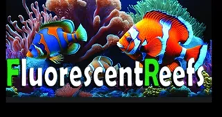 Image: Fluorescent Reefs opens on West Jefferson