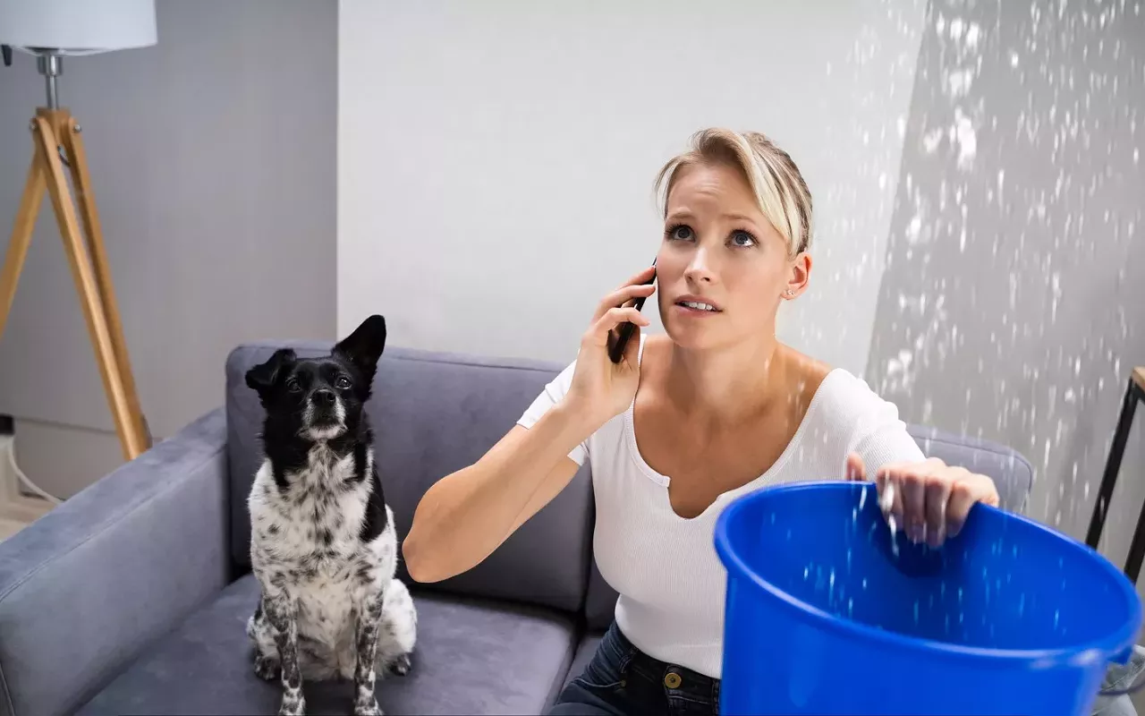 Image: Organizational change and leaky basements