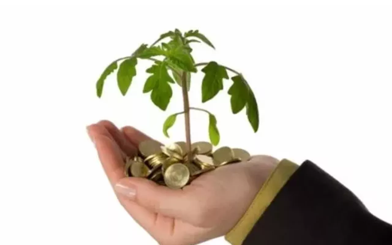 Image: Proof of Concept: Will My Business Idea Work?